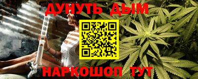 индика Вышний Волочёк