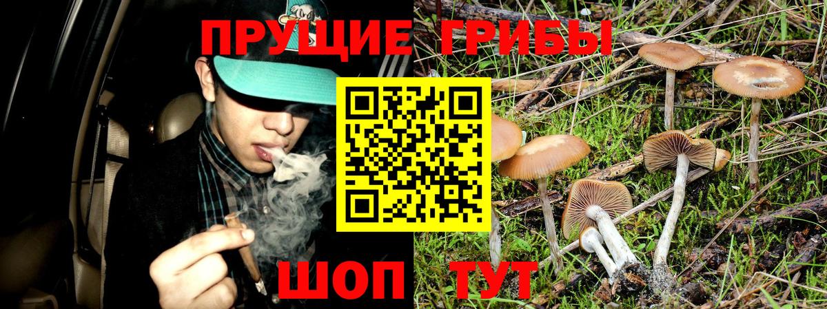 Псилоцибиновые грибы Magic Shrooms  Вход с VPN  Семёнов  хочу наркоту  Псилоцибиновые грибы мухоморы 