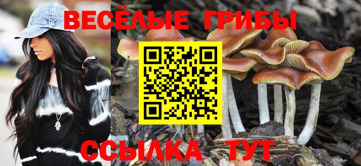 Галлюциногенные грибы ЛСД Семёнов